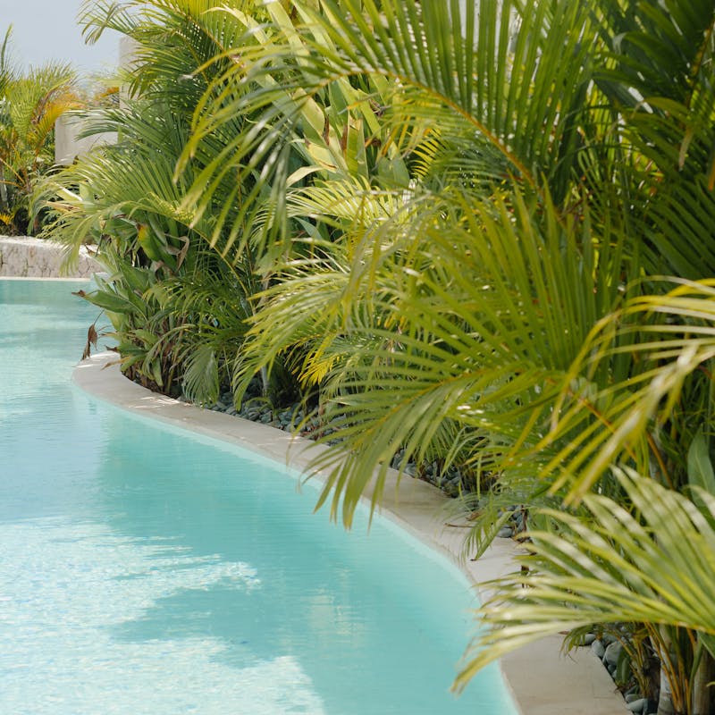 Seamless integration between pool and landscape