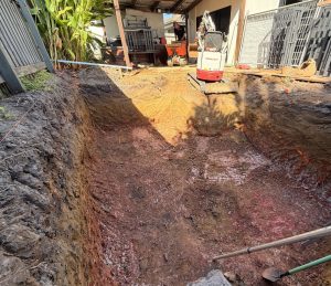 Dig the hole Dig the Hole
